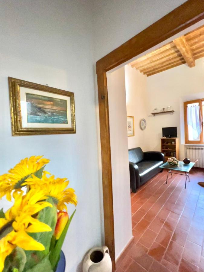 Maison La Luna Apartment Pisa Ngoại thất bức ảnh